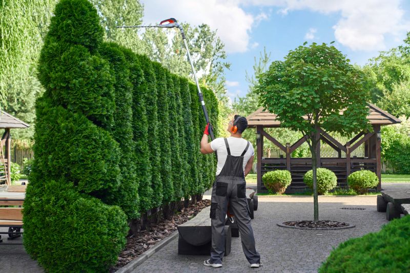 Landscape Tree Maintenance