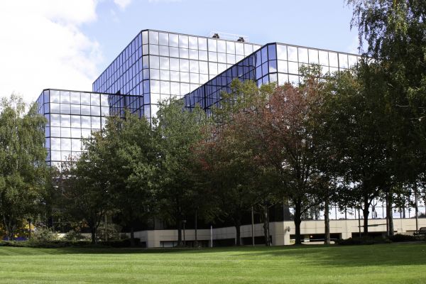 Commercial Tree Trimming in Gastonia